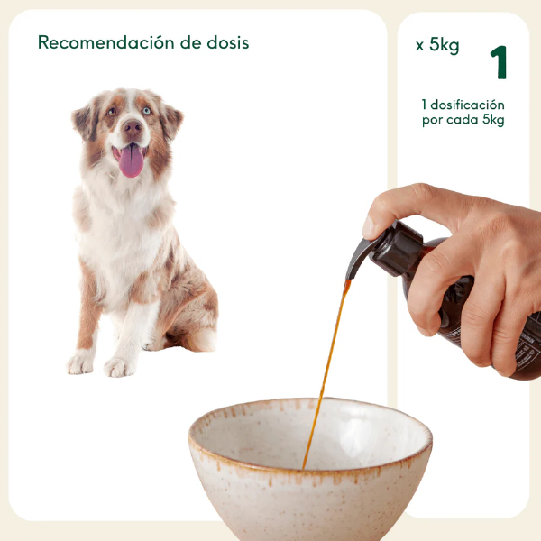 Aceite de sardina Wild Balance
