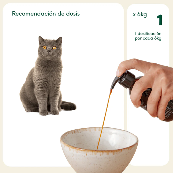 Aceite de sardina Wild Balance