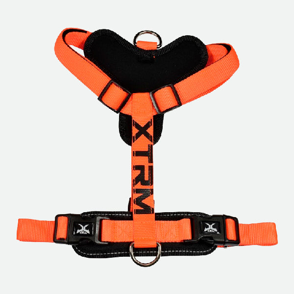Arnés X-TRM Cronos Neon Flash - Naranja y negro