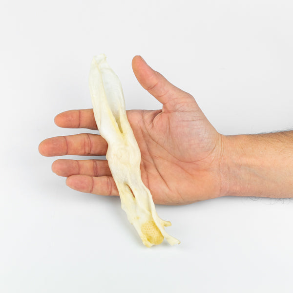 Oreja de conejo - Snackbar Vidanimal