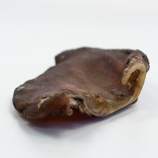 Oreja de cerdo - Snackbar Vidanimal