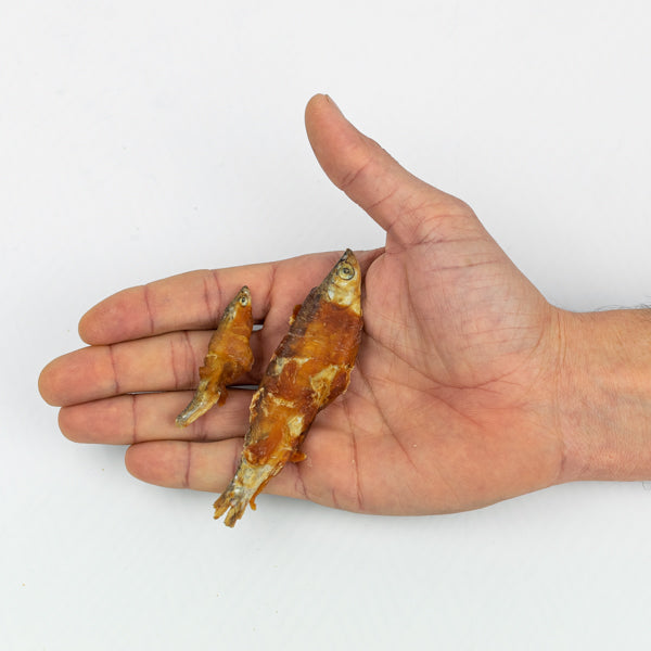 Pescaditos con pollo - Snackbar Vidanimal