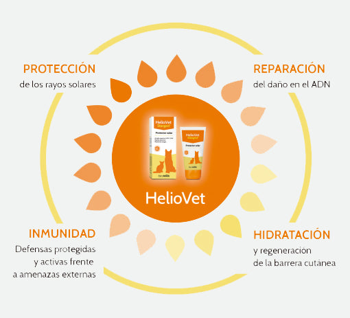 Protector solar en spray - Snackbar Vidanimal