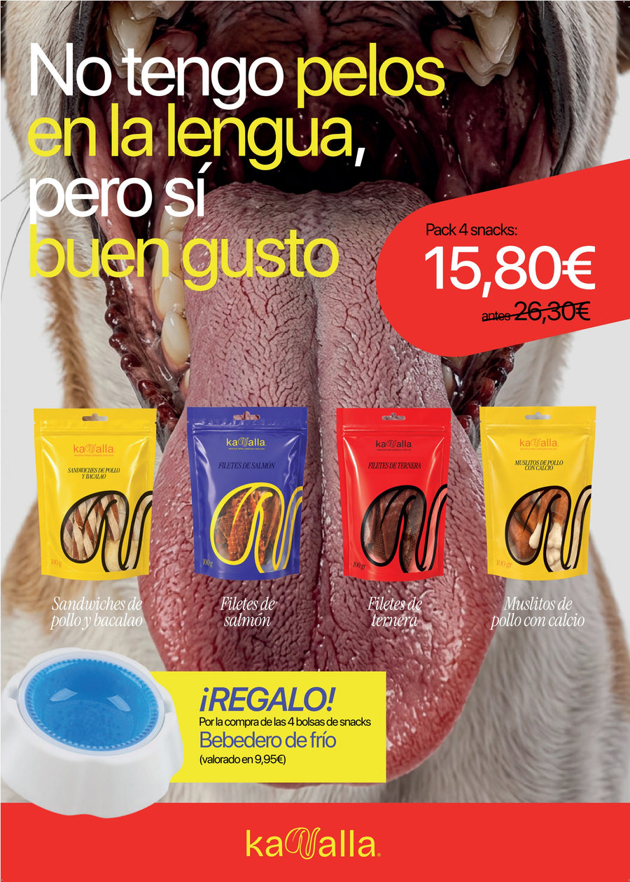 Pack de cuatro snacks Kanalla con bebedero frío de regalo