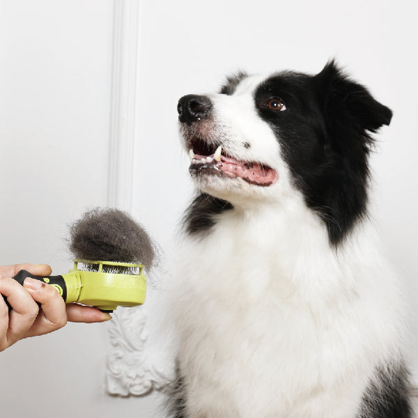 M-Pets Click and Groom Cepillo de púas