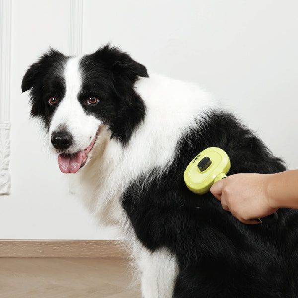 M-Pets Click and Groom Cepillo de púas
