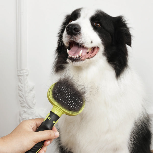 M-Pets Click and Groom Cepillo de púas