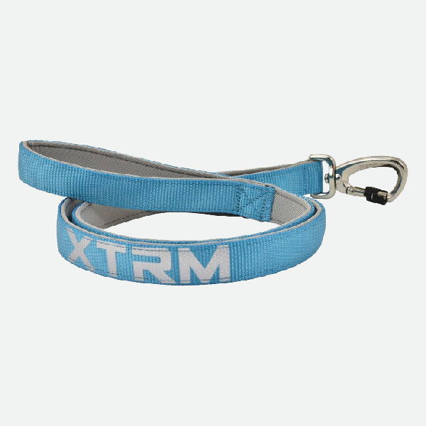X-TRM Cronos Neon Flash Strap - Blue and Gray