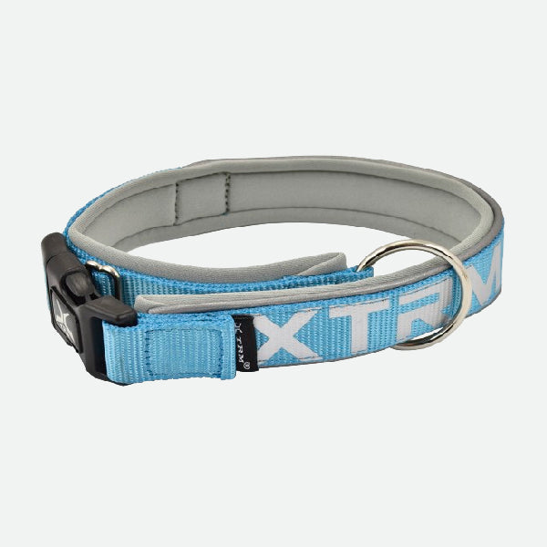X-TRM Cronos Neon Flash Necklace - Blue and Gray