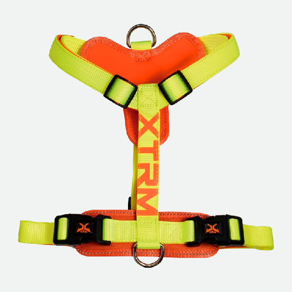 X-TRM Cronos Neon Flash Harness - Yellow and Orange