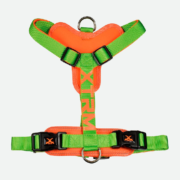 X-TRM Cronos Neon Flash Harness - Green and Orange