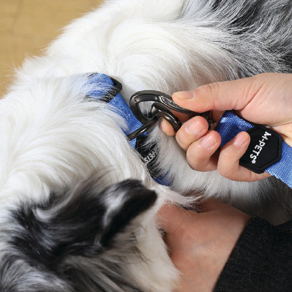 M-PETS GENTLE DOG Correa acolchada 120 cm - Azul