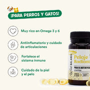 Wild Balance Omega 3 de aceite de pescado - 60 cápsulas