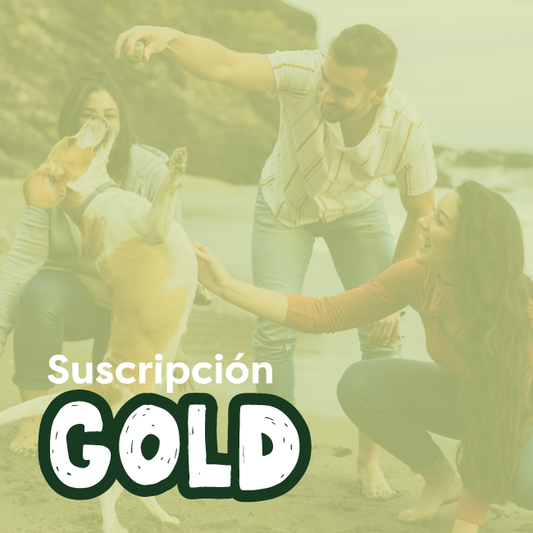Suscripción gold - Anual