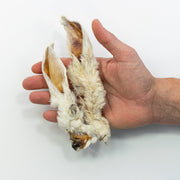 Oreja de conejo con pelo - Snackbar Vidanimal